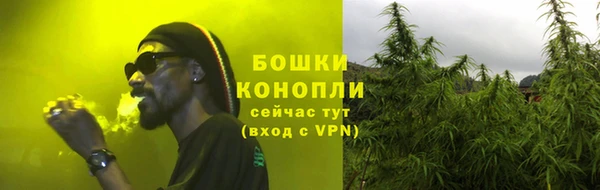 сатива Баксан