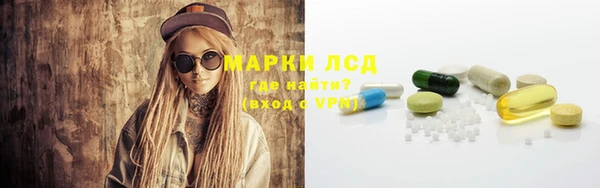 сатива Баксан