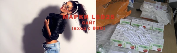 ГАЛЛЮЦИНОГЕННЫЕ ГРИБЫ Балабаново