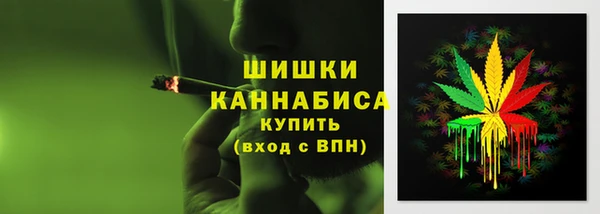 ГАЛЛЮЦИНОГЕННЫЕ ГРИБЫ Балабаново