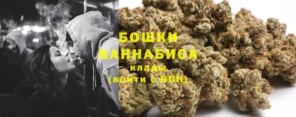 сатива Баксан