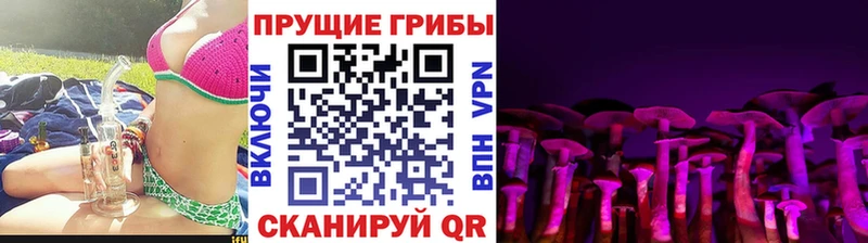 Галлюциногенные грибы GOLDEN TEACHER  где можно купить   Ленск 